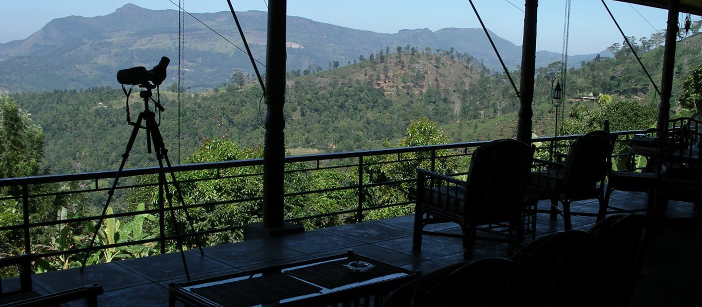 Birdwatching around Rangala House